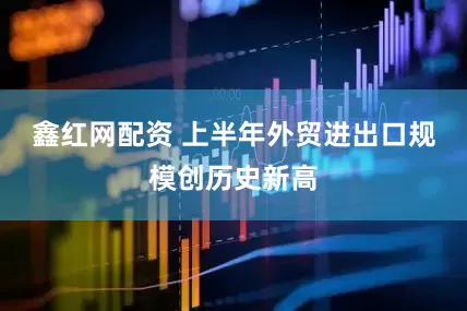 鑫红网配资 上半年外贸进出口规模创历史新高