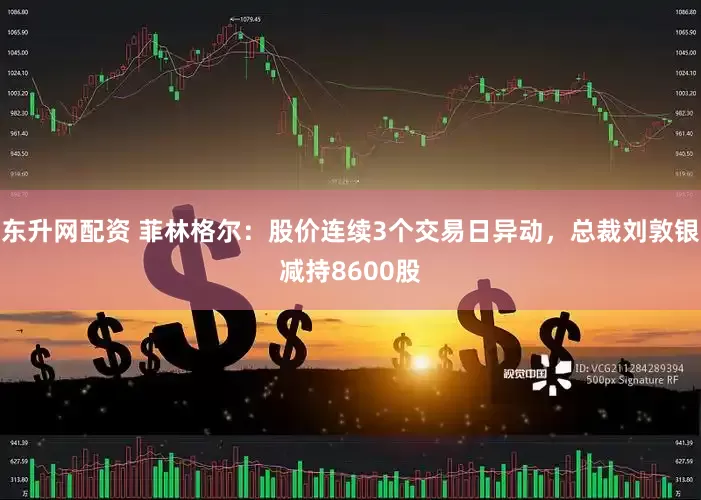 东升网配资 菲林格尔：股价连续3个交易日异动，总裁刘敦银减持8600股