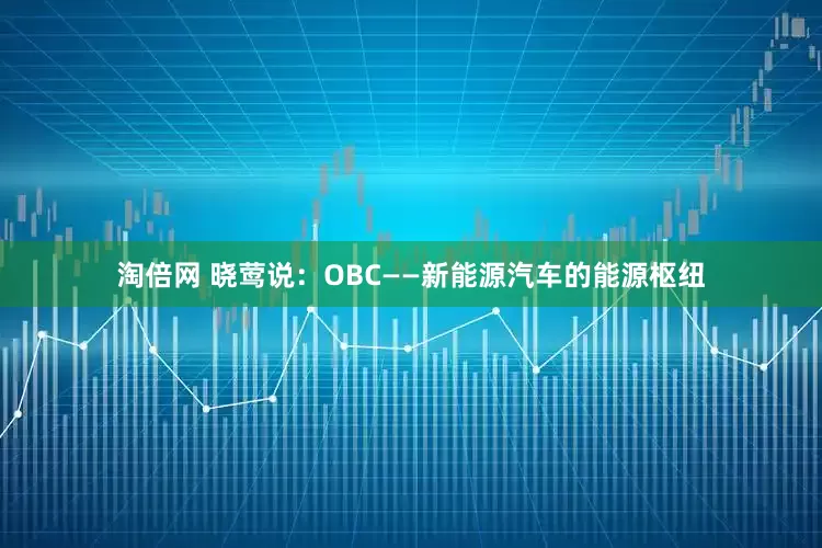 淘倍网 晓莺说：OBC——新能源汽车的能源枢纽